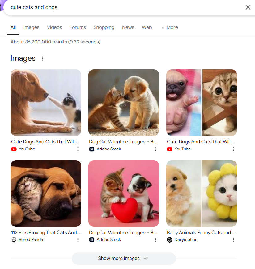 a search result of cat and dog images and videos that can be used for performing a serp analysis